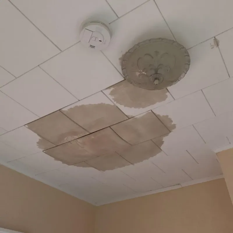 Ceiling Water Damage Repair in New Philadelphia, OH