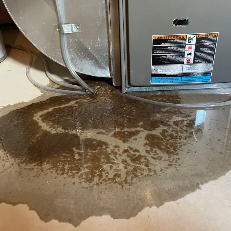 Pipe Burst and Leak Restoration in New Philadelphia, OH